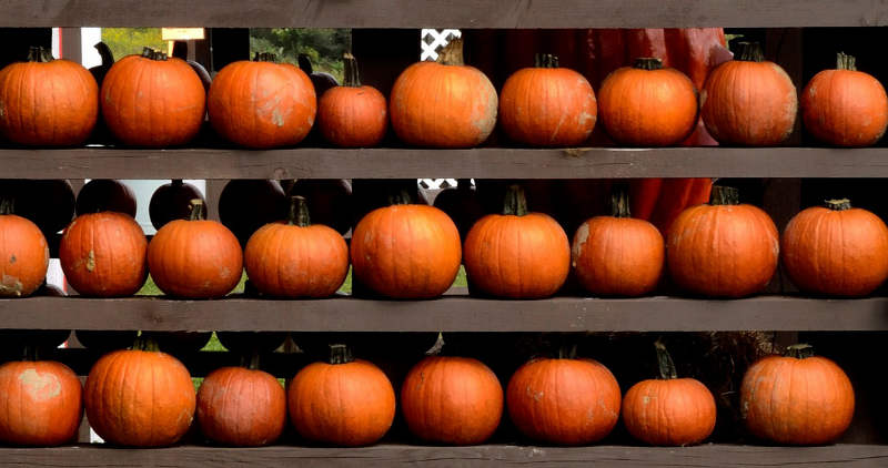 pumpkin_storage